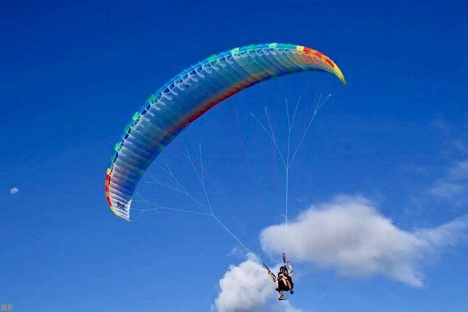 Tahiti: Full Day Island Tour with Paragliding - Who Is This Tour Best Suited For?