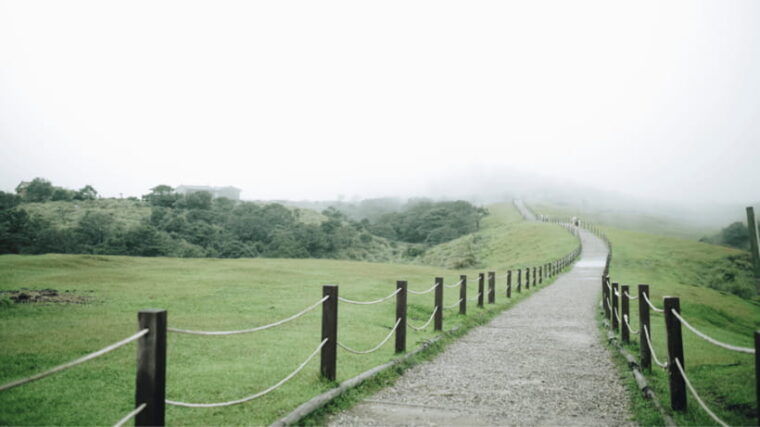 taipei-yangmingshan-national-park-half-day-tour