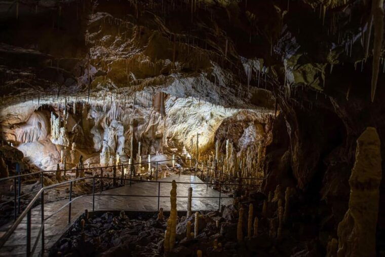 the-bears-cave-1-day-airconditioned-car-tour-from-oradea