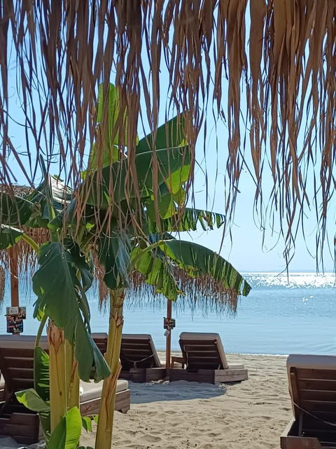 thessaloniki-halkidiki-beach-hopping-with-swimming