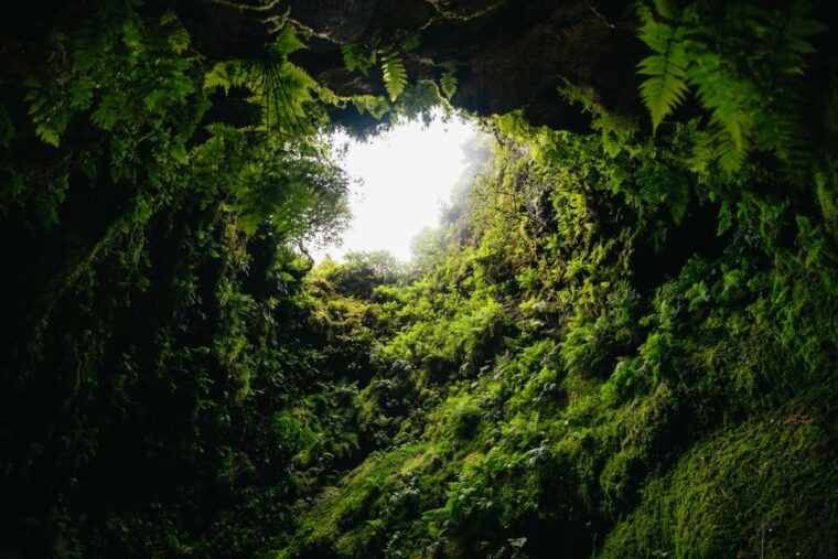 third-algar-do-carvao-lava-caves-tour