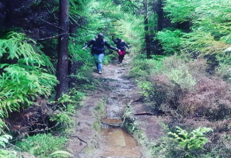 third-island-hiking-trail-black-mysteries
