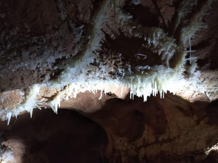 timisoara-oradea-city-tour-and-trip-to-apuseni-caves