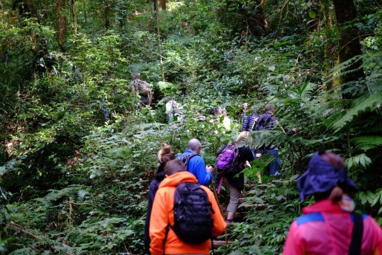 tour-with-hike-in-kiew-mae-pan-natural-trail-from-chiang-mai