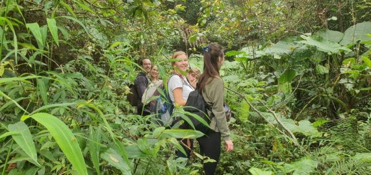 trek-and-kayak-cat-ba-national-park-1-day-adventure