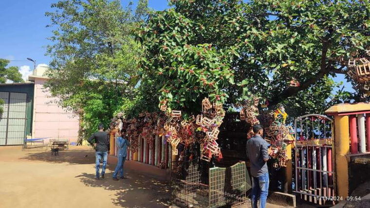 trincomalee-city-tour-with-koneswarm-and-crocodile-lake
