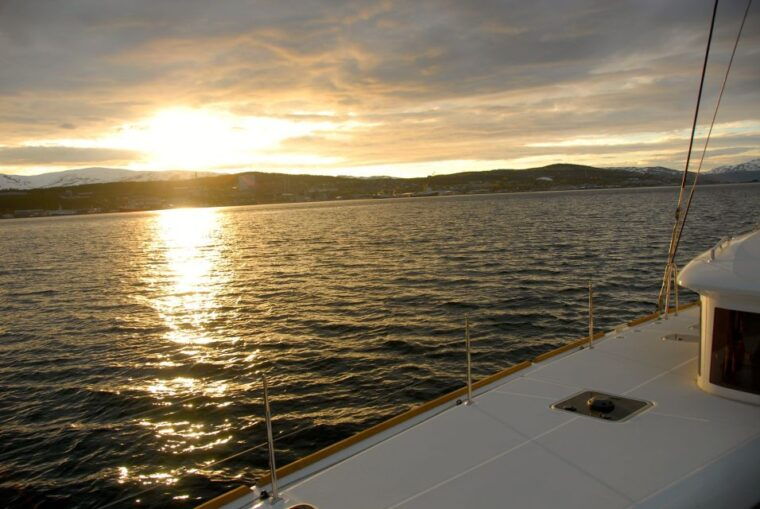 tromso-midnight-sun-cruise-in-a-luxury-catamaran