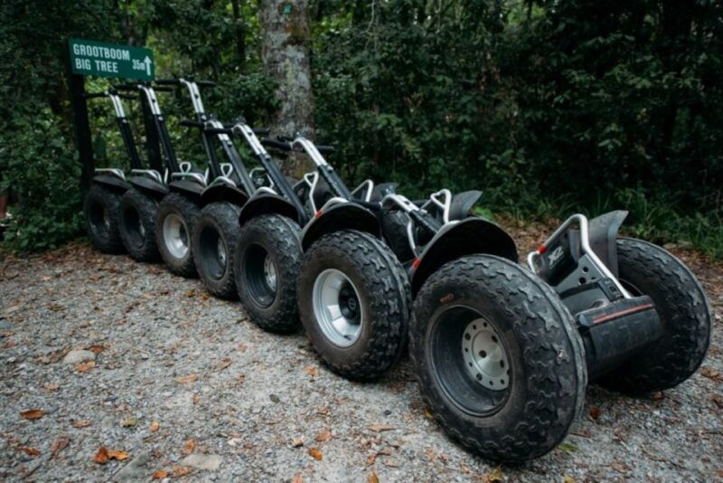 tsitsikamma-national-park-1-or-2-hour-segway-tour