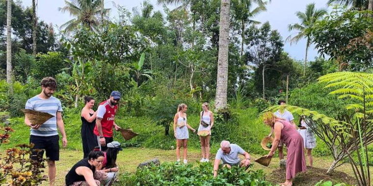 ubud-balinese-cooking-class-at-an-organic-farm