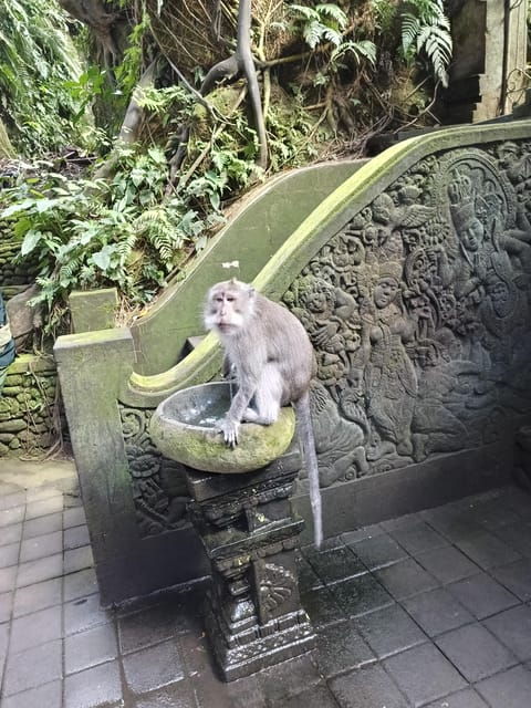 ubud-combination-full-day-ubud-tour-with-private-guide
