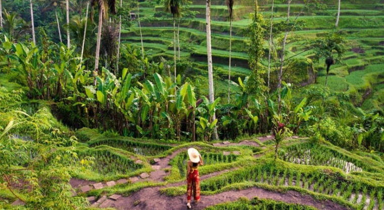 ubud-customized-itinerary-tours-with-knowledge-driver