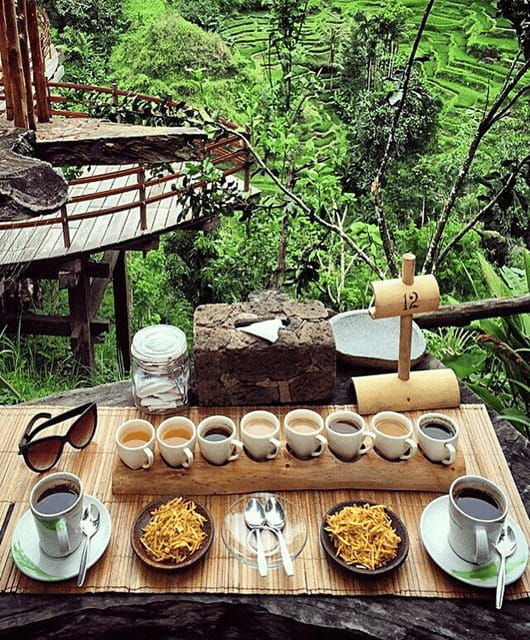 ubud-highlight-nature-wildlife-swing-waterfall