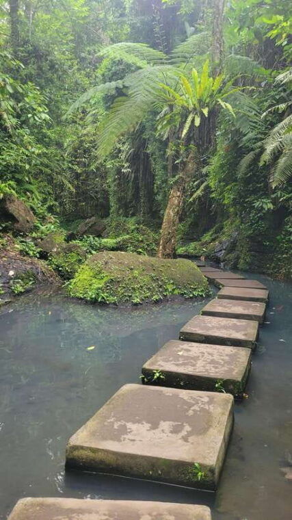 ubud-private-half-day-tour-with-rice-terrace-waterfall