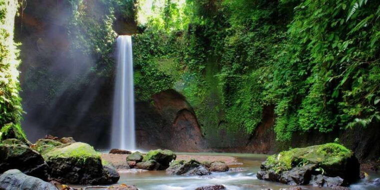 ubud-rice-terrace-holy-water-temple-waterfalls-trek-tour