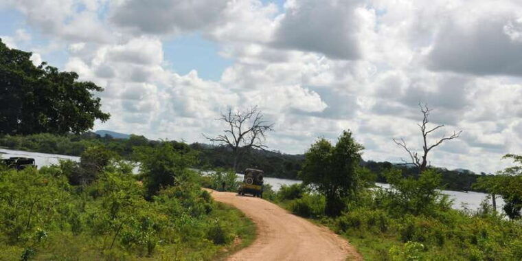udawalawe-national-park-private-full-day-safari