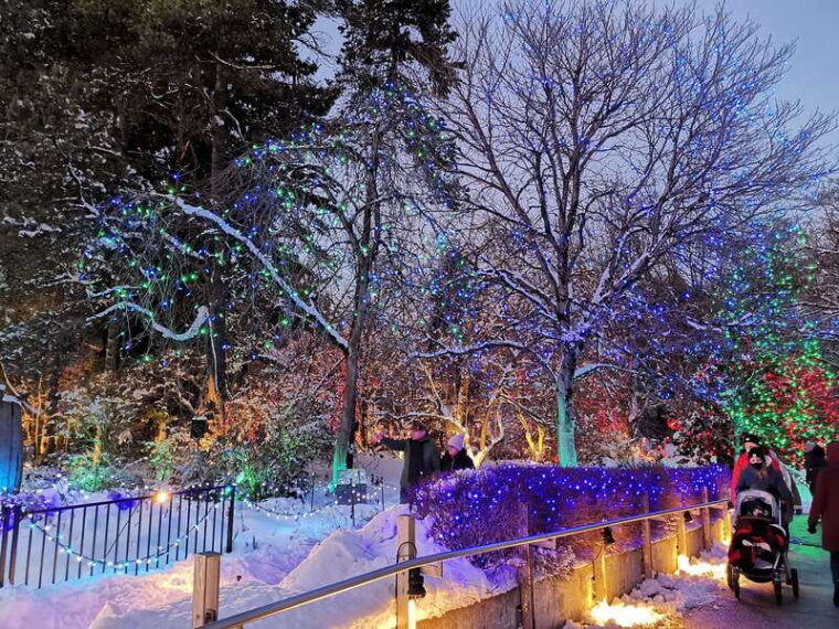 vancouver-christmas-tour-with-light-festival-entrance