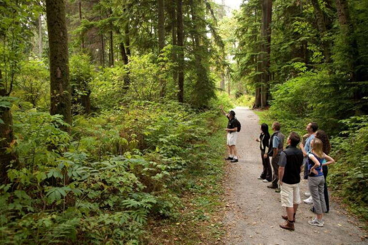 vancouver-city-highlights-tour-the-lookout