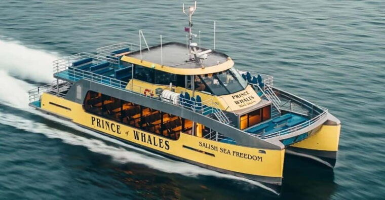 vancouver-covered-whale-watching-adventure-with-free-photos-2