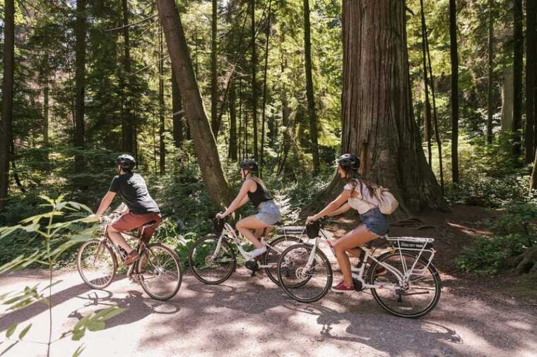 vancouver-half-day-city-highlights-e-bike-tour-age-16