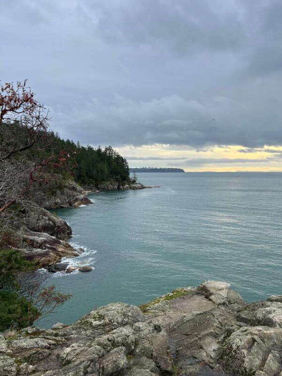 vancouver-lighthouse-park-hike