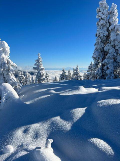 vancouver-north-shore-mountains-snowshoeing-with-transfer