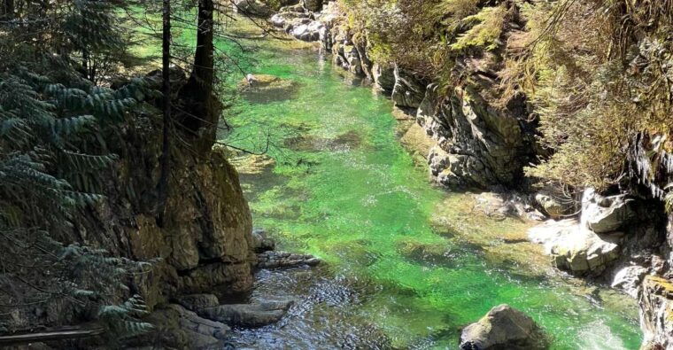 vancouver-rainforest-waterfall-hike-and-suspension-bridge