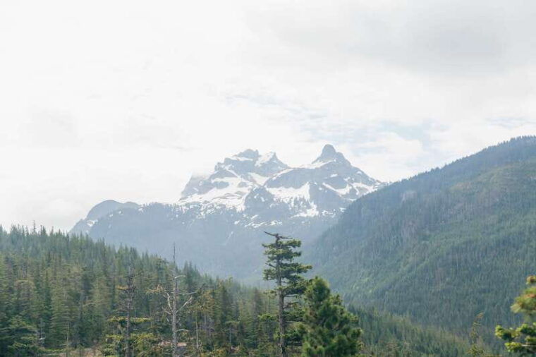 vancouver-sea-to-sky-gondola-and-whistler-day-trip-2