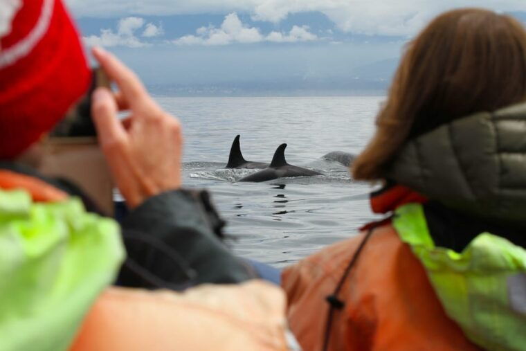 vancouver-seaplane-to-victoria-and-whale-watching-day-trip