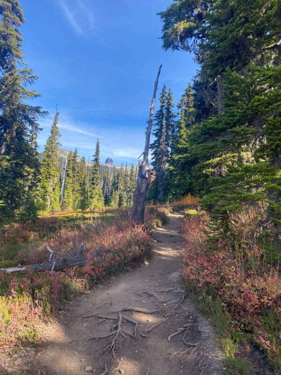 vancouver-squamish-garibaldi-park-panorama-ridge-hike