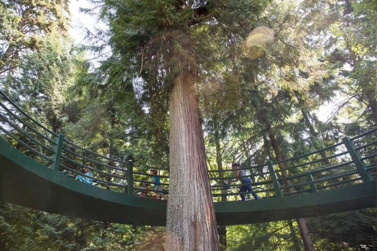 vancouver-stanley-park-bicycle-tour