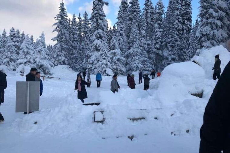 vancouver-winter-fun-mountain-adventure-tour-private
