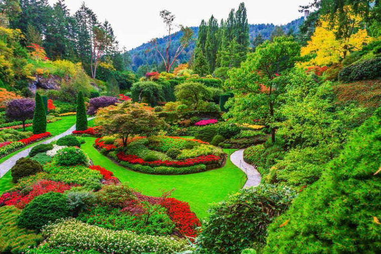 victoria-driving-tour-w-malahat-skywalk-butchart-gardens