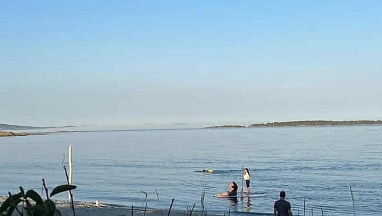 victoria-paddle-board-tour-at-willows-beach