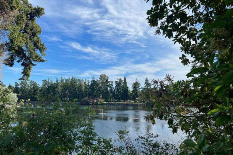 victoria-upper-gorge-waterway-paddle-boarding-tour