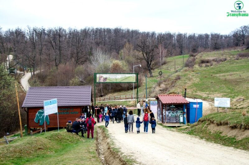 visit-bear-sanctuary-and-bran-castle-from-brasov