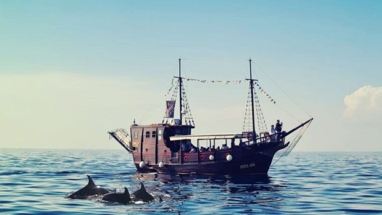 vrsar-dolphin-watching-boat-ride