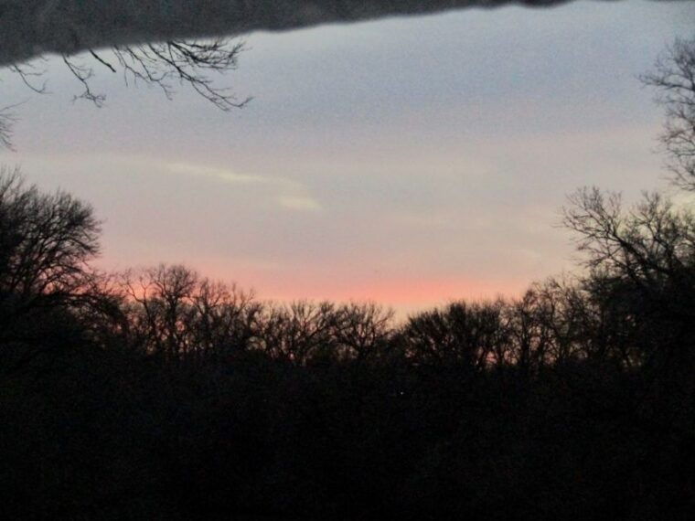 waco-brazos-river-boating-adventure