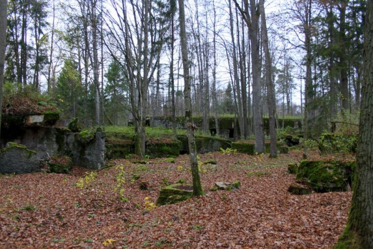 warsaw-private-full-day-wolfs-lair-tour