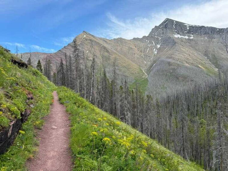 waterton-lakes-national-park-upper-rowe-lakes-hike