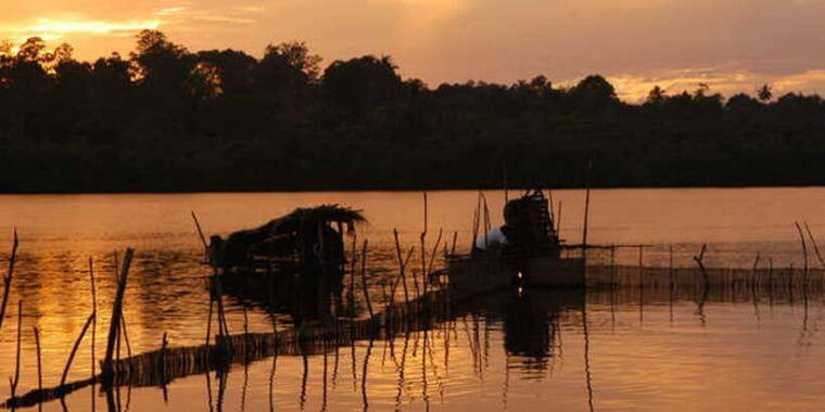 west-coast-beach-river-mangroves-lagoon-wildlife-boat-tour