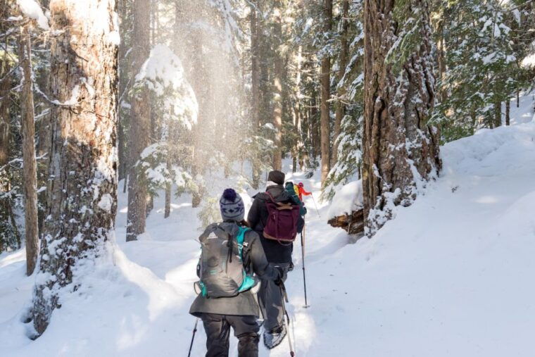 whistler-backcountry-snowshoeing-tour-with-guide