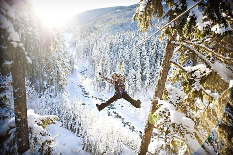 whistler-zipline-experience-ziptrek-bear-tour