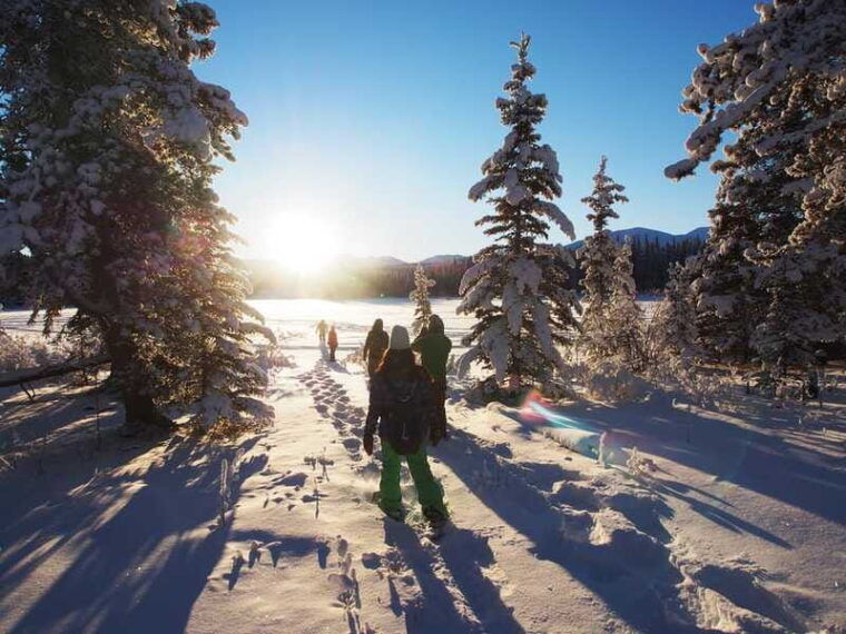 whitehorse-half-day-snowshoeing-tour