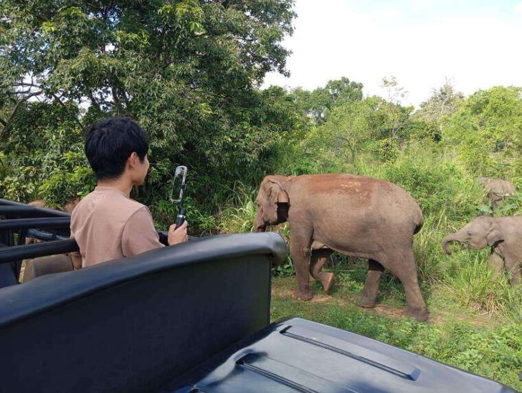 wildlife-experience-at-minneriya-national-park-safari