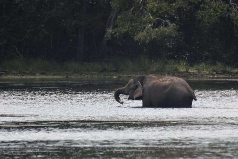 wilpattu-national-park-5-hours-12-hours-day-tours
