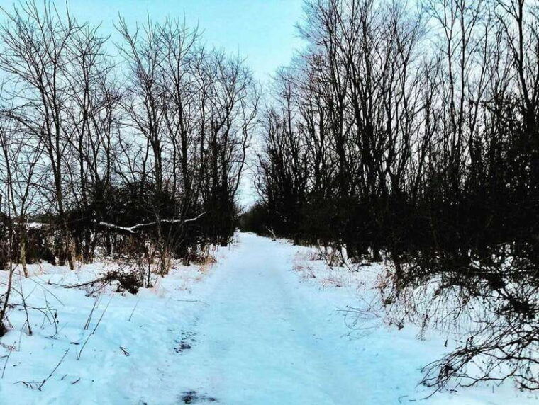 winter-hike-to-rattlesnake-point-rv-motorhome-tour