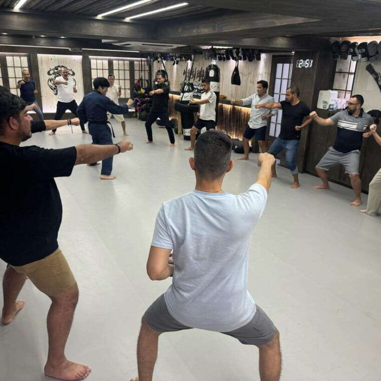 wkt-combat-taekwondo-self-defense-one-day-class-in-seoul