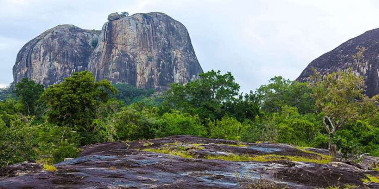 yala-national-park-leopard-safari-full-day-tour-with-lunch-2