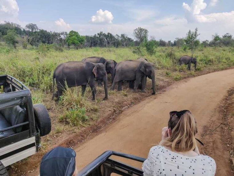 yala-national-park-private-safari-from-ella