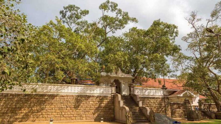 09-days-heritage-trails-of-sri-lanka